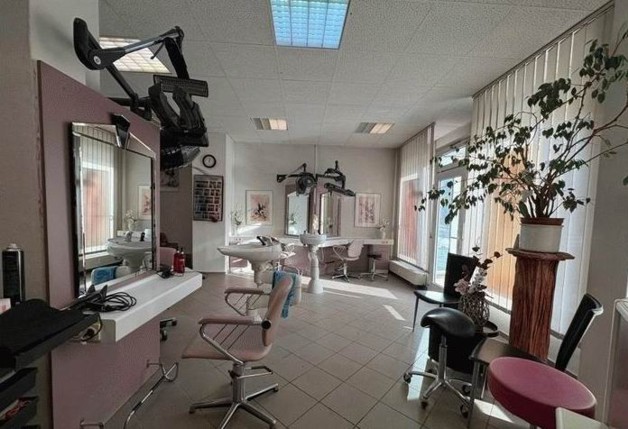 Ehemaliger Friseursalon flexibel nutzbar in Zwickau - Einfamilienhaus Zwickau | Angebot:25874276