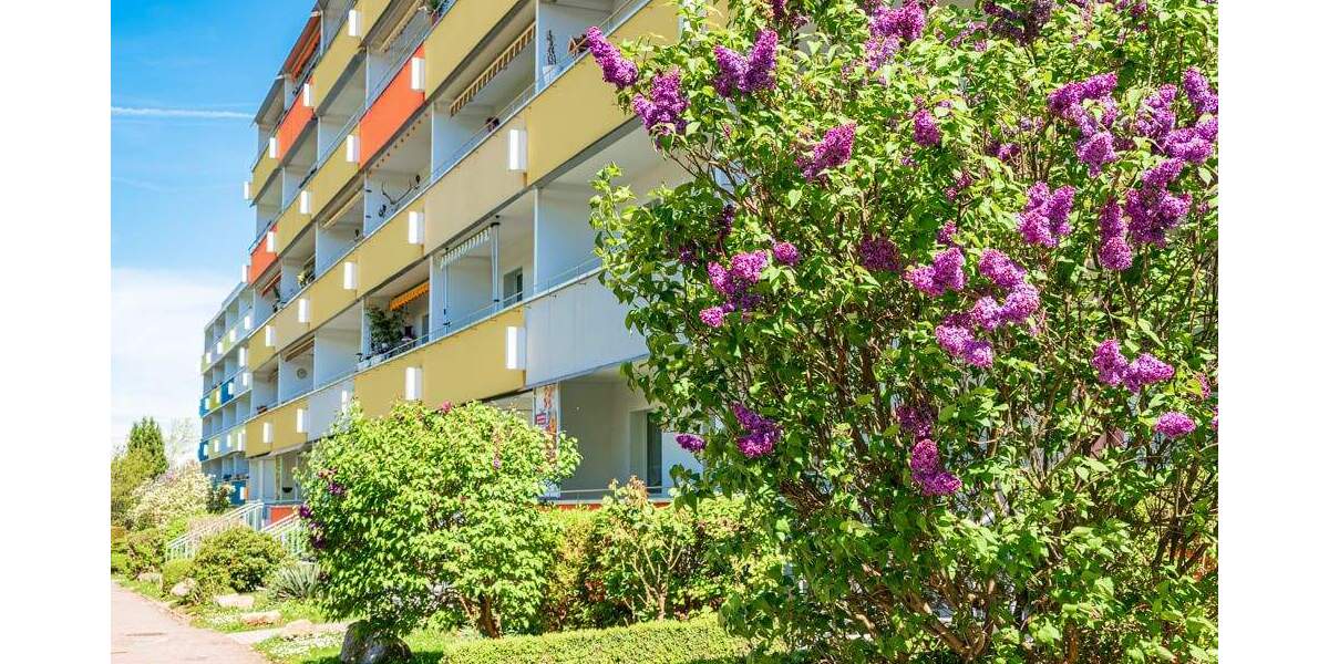 Etagenwohnung Zwickau Eckersbach - 3 Zimmer, 71 m&sup2;, 412&euro; | Angebot:25771300