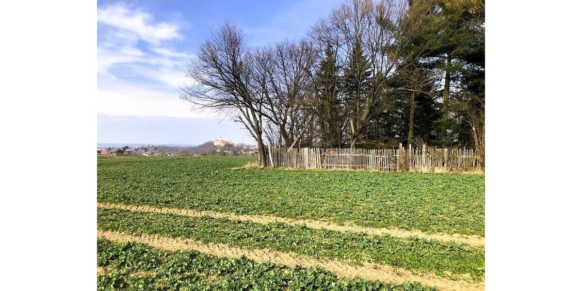 Grundstück Lichtentanne Schönfels - 45.000&euro; | Angebot:25678793