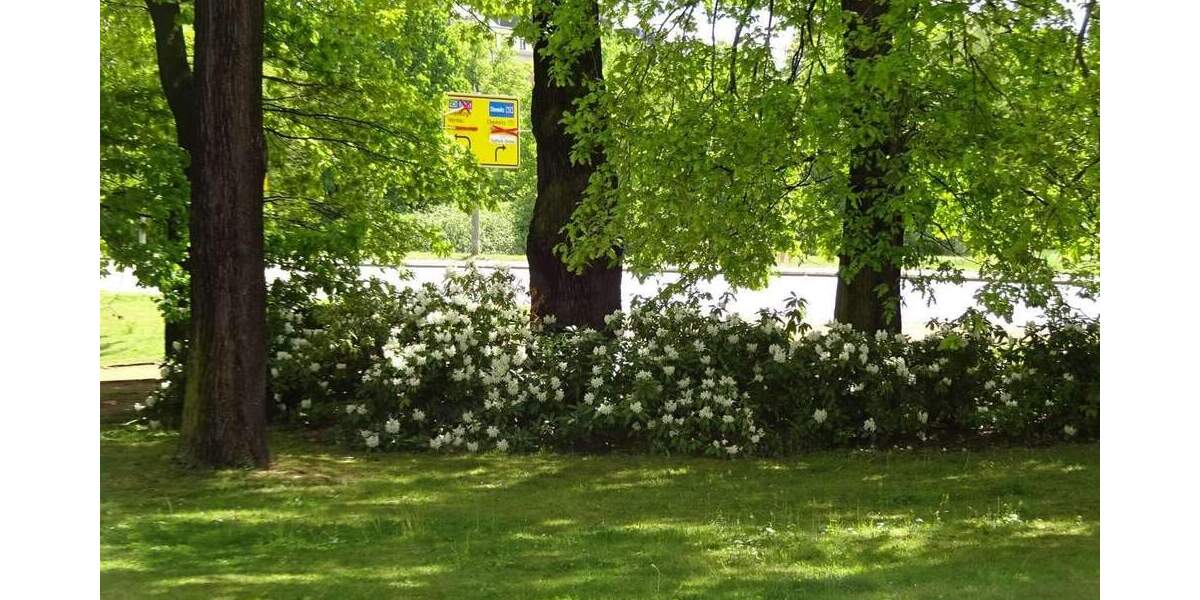 Etagenwohnung Zwickau Innenstadt - 3 Zimmer, 77 m&sup2;, 595&euro; | Angebot:25780742