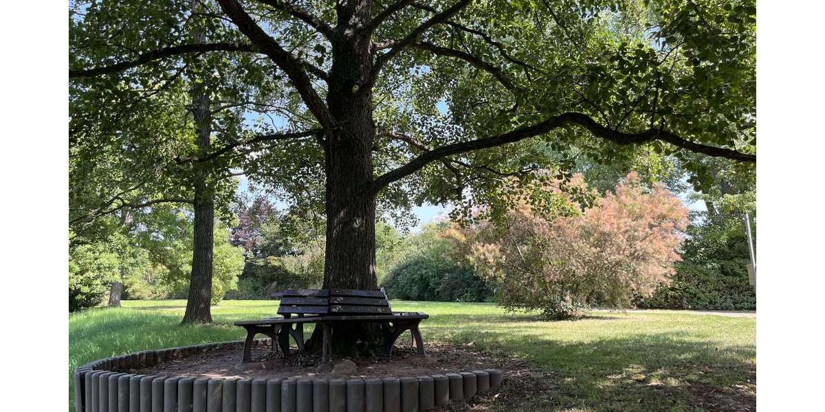 Etagenwohnung Zwickau Neuplanitz - 4 Zimmer, 90 m&sup2;, 449&euro; | Angebot:22874804