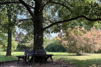 Wohnung Zwickau Neuplanitz - 4 Zimmer, 90 m&sup2;, 449&euro; | Angebot:22874804