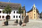 Etagenwohnung Zwickau Pölbitz - 3 Zimmer, 64 m&sup2;, 65.000&euro; | Angebot:26725533