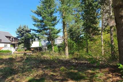 Grundstück Pöhlau Pöhlau - 59.000&euro; | Angebot:19611019