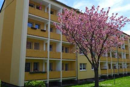 Wohnung Limbach-Oberfrohna Oberfrohna - 3 Zimmer, 63 m&sup2;, 355&euro; | Angebot:24980763