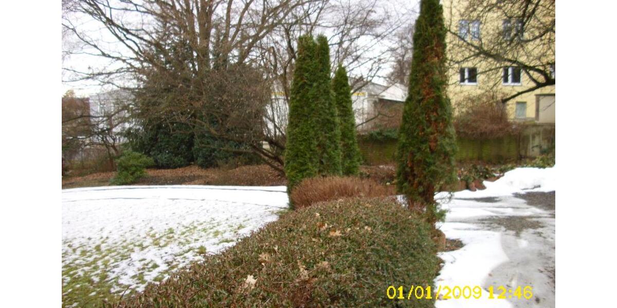 Etagenwohnung Hohenstein-Ernstthal Ernstthal - 2 Zimmer, 40 m&sup2;, 245&euro; | Angebot:25160567