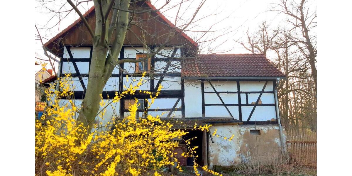 Einfamilienhaus Langenbernsdorf - 6 Zimmer, 140 m&sup2;, 77.777&euro; | Angebot:26019417