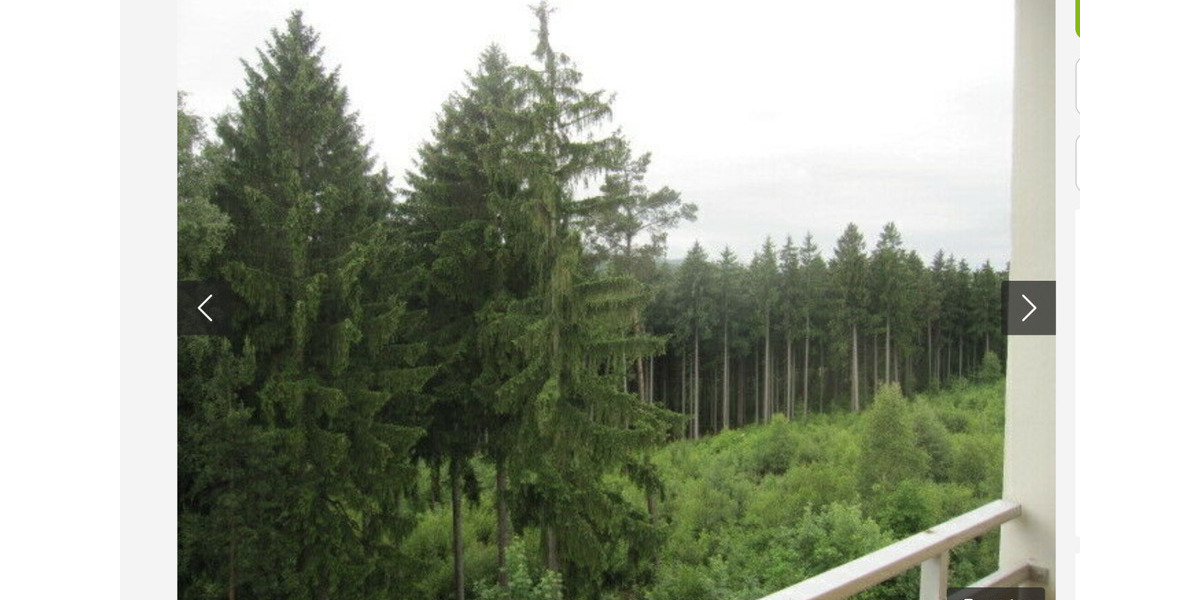 Etagenwohnung Aue-Bad Schlema Bad Schlema - 3 Zimmer, 58 m&sup2;, 250&euro; | Angebot:24770506