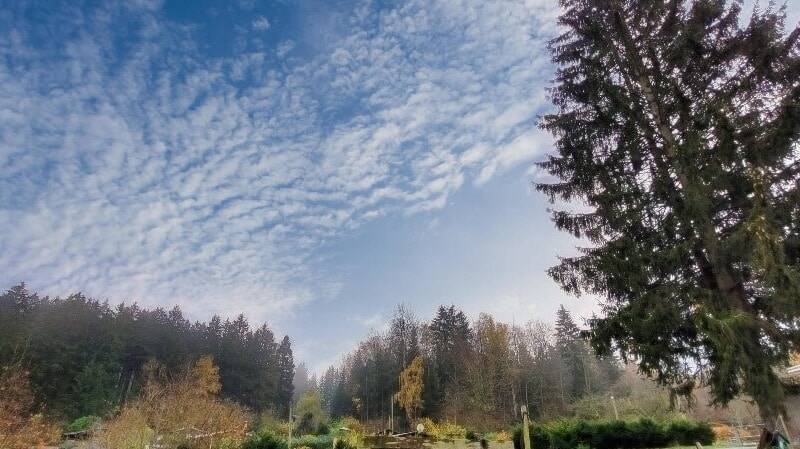 Einfamilienhaus Falkenstein - 3 Zimmer, 85 m&sup2;, 69.900&euro; | Angebot:25741457