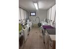 Etagenwohnung Glauchau - 3 Zimmer, 84 m&sup2;, 500&euro; | Angebot:26676960