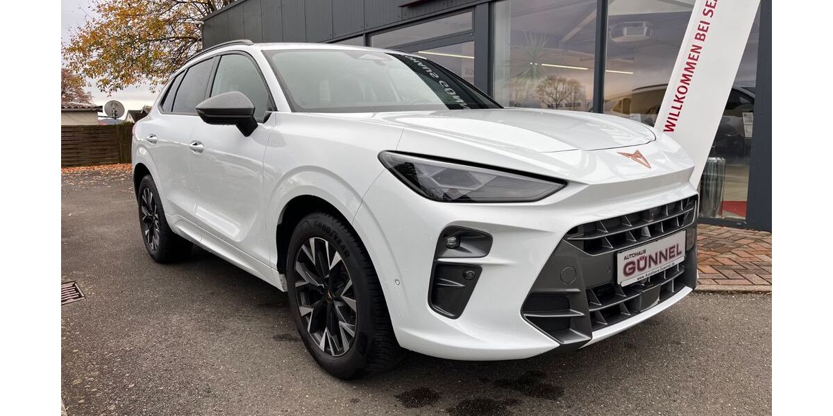 Cupra Terramar 25.289 km 32.890 &euro; Zwickau 08060