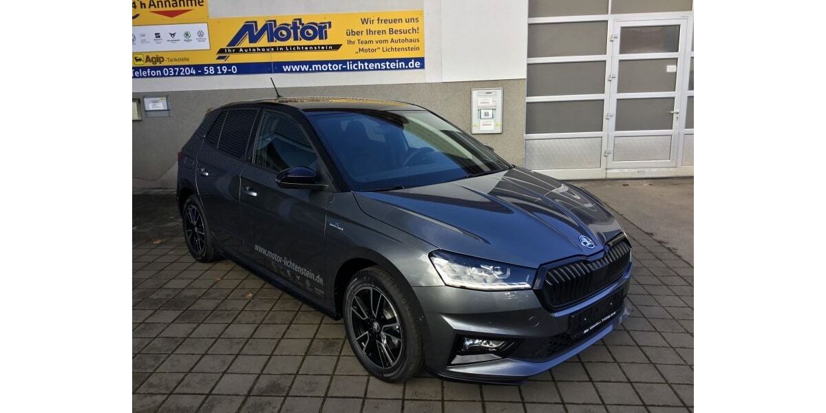 Skoda Fabia 3.000 km 25.910 &euro; Lichtenstein 09350