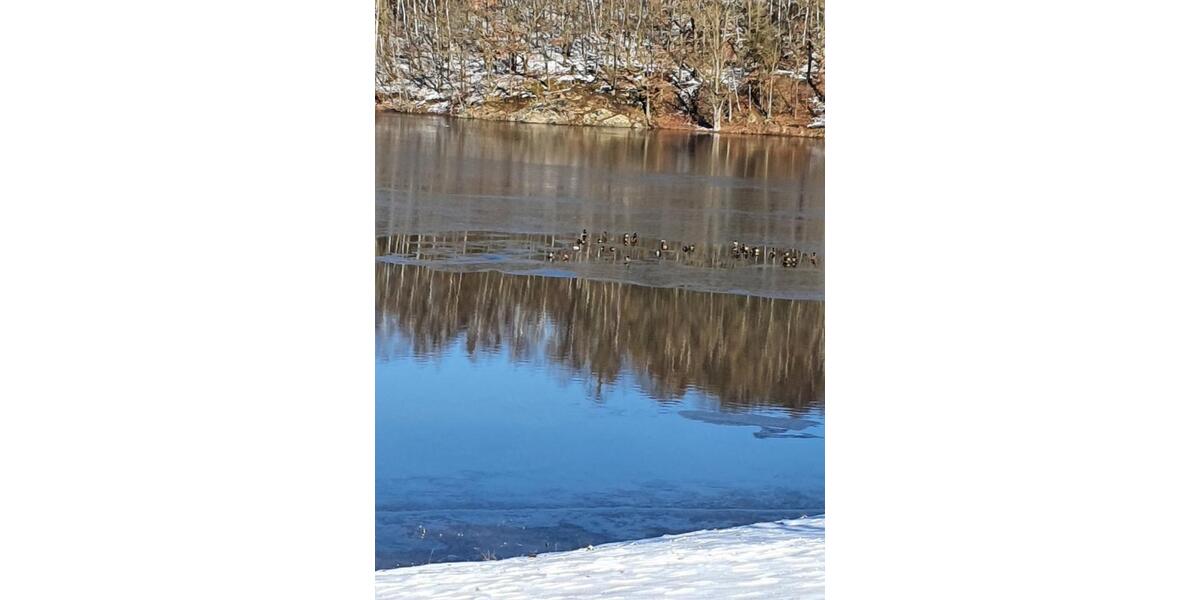 Bungalow Zwickau - 1 Zimmer, 25 m&sup2;, 14.000&euro; | Angebot:25710722