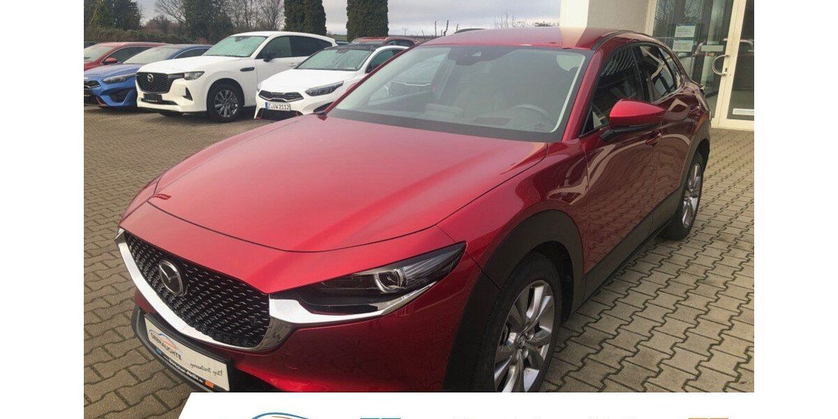 Mazda CX-30 38.835 km 19.890 &euro; Zwickau 08064