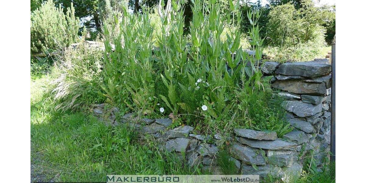 Grundstück Greiz Hohndorf - 35.000&euro; | Angebot:25674656