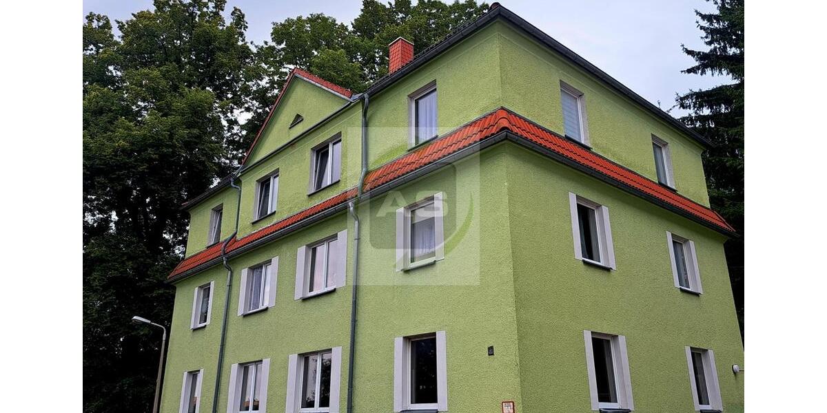 Etagenwohnung Zwickau - 3 Zimmer, 60 m&sup2;, 360&euro; | Angebot:23598699