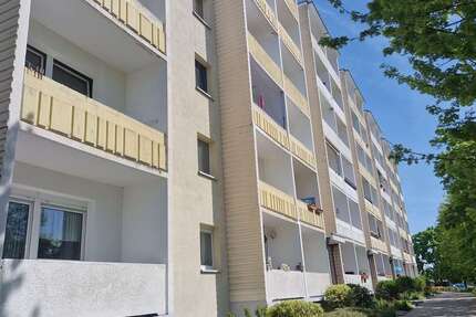 Wohnung Glauchau - 2 Zimmer, 40 m&sup2;, 255&euro; | Angebot:24704252