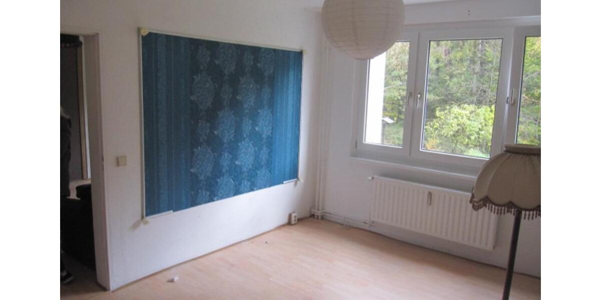 Etagenwohnung Aue-Bad Schlema Bad Schlema - 2 Zimmer, 50 m&sup2;, 250&euro; | Angebot:24770508