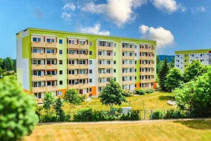 Wohnung Zwickau Eckersbach - 2 Zimmer, 40 m&sup2;, 240&euro; | Angebot:25728259