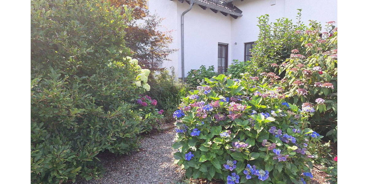 Einfamilienhaus St. Egidien - 1 Zimmer, 329 m&sup2;, 530.000&euro; | Angebot:26015835