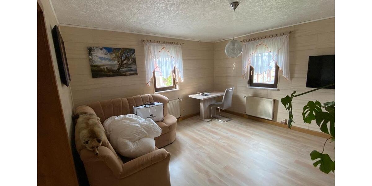 Einfamilienhaus Fraureuth - 11 Zimmer, 220 m&sup2;, 250.000&euro; | Angebot:24728324