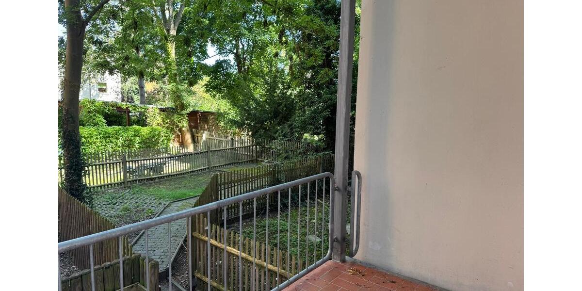 Erdgeschoßwohnung Zwickau Zwickau-Nord - 5 Zimmer, 174 m&sup2;, 900&euro; | Angebot:25855314