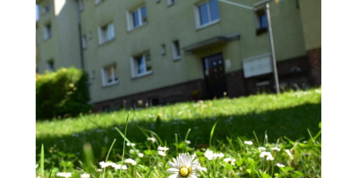 Etagenwohnung Hohenstein-Ernstthal Ernstthal - 2 Zimmer, 55 m&sup2;, 331&euro; | Angebot:25871113