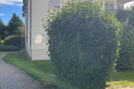 Wohnung Wilkau-Haßlau Haßlau - 2 Zimmer, 50 m&sup2;, 351&euro; | Angebot:25084333