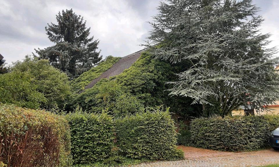 Einfamilienhaus Nobitz - 6 Zimmer, 120 m&sup2;, 55.000&euro; | Angebot:25105736