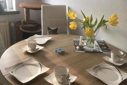 Wohnung Lichtenstein (Sachsen) - 2 Zimmer, 53 m&sup2;, 315&euro; | Angebot:27630232