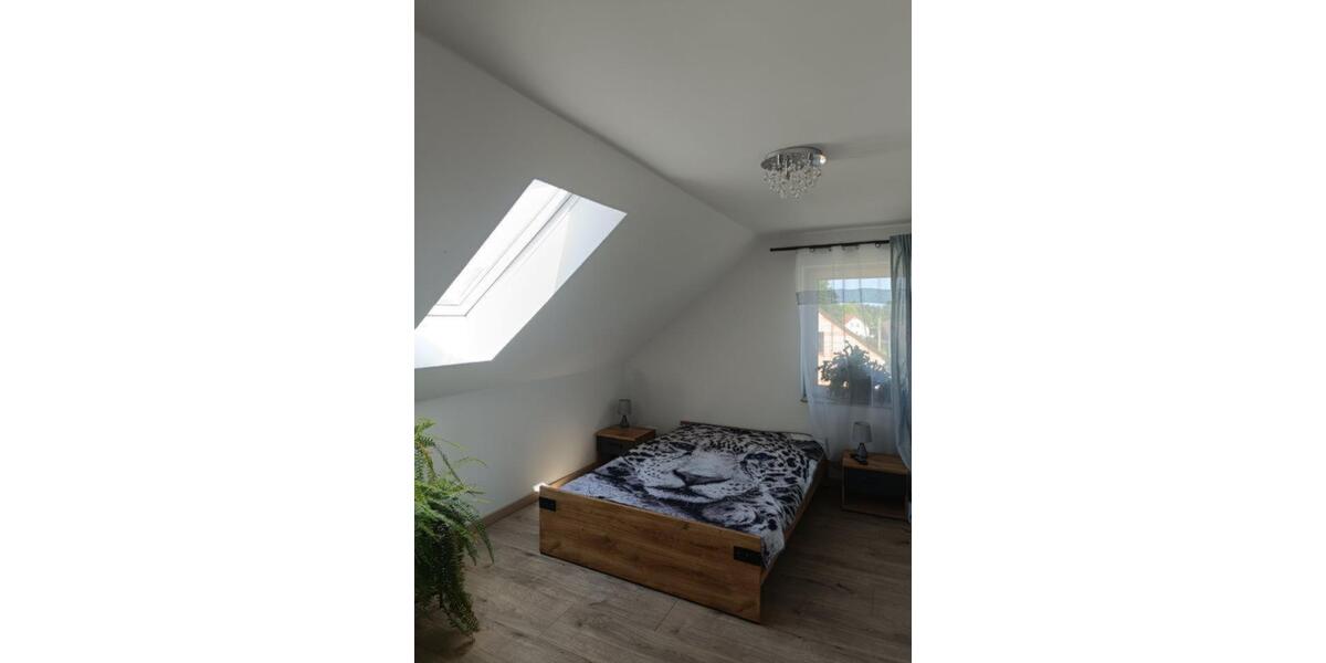 Einfamilienhaus St. Egidien - 7 Zimmer, 225 m&sup2;, 555.555&euro; | Angebot:25945835