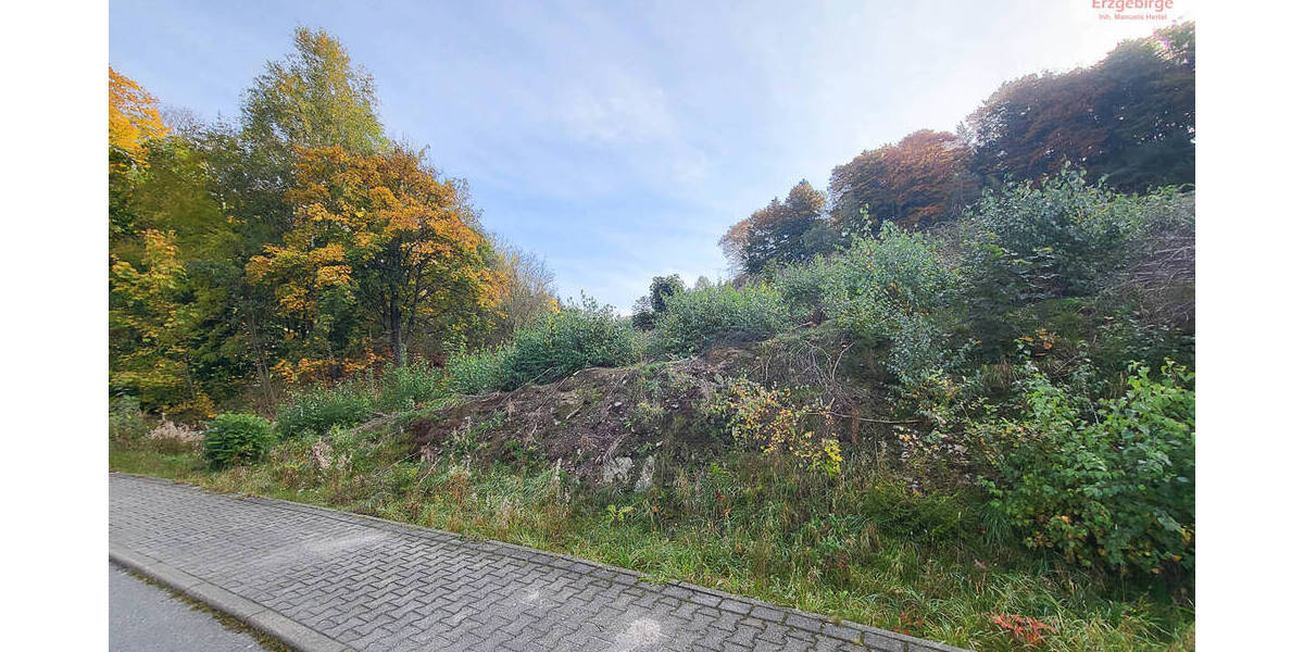 Grundstück Bockau - 62.500&euro; | Angebot:25744551