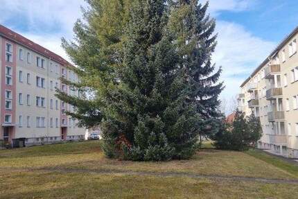 Wohnung Crimmitschau - 2 Zimmer, 59 m&sup2;, 29.000&euro; | Angebot:25819926