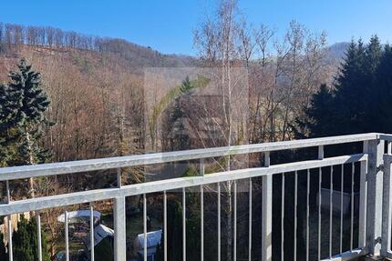 Wohnung Wilkau-Haßlau Haßlau - 3 Zimmer, 50 m&sup2;, 349&euro; | Angebot:25365190