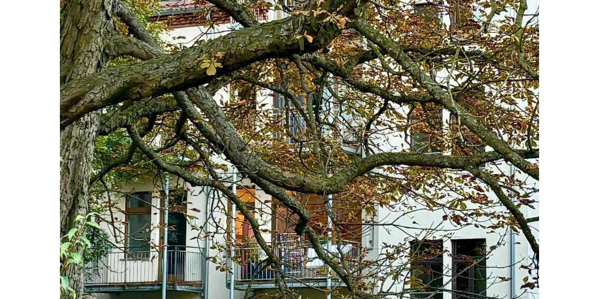 Etagenwohnung Zwickau - 2 Zimmer, 58 m&sup2;, 60.000&euro; | Angebot:24376461