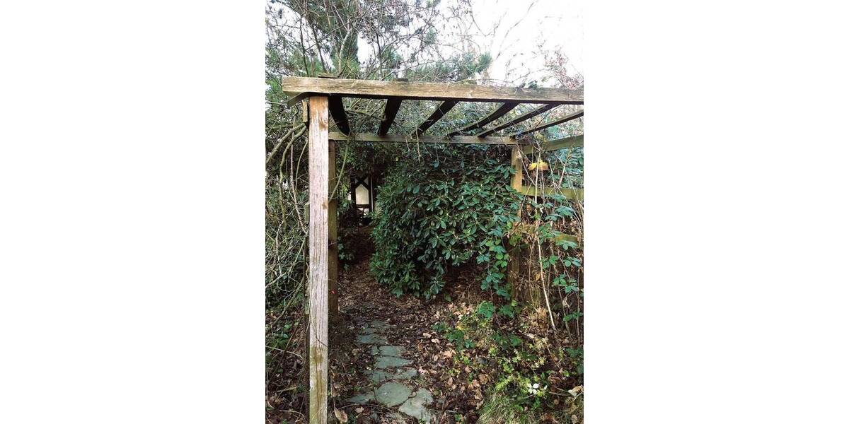 Grundstück Lichtentanne Schönfels - 45.000&euro; | Angebot:25678793