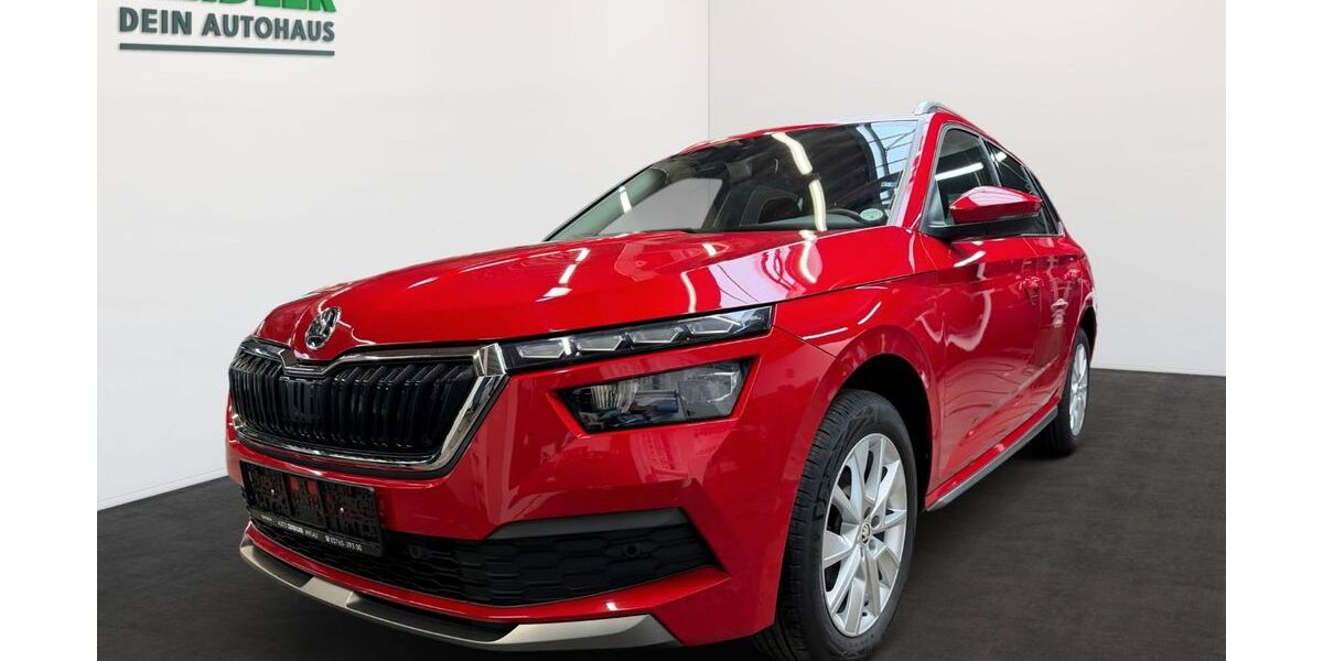 Skoda Kamiq 22.490 km 18.450 &euro; Mylau 08499