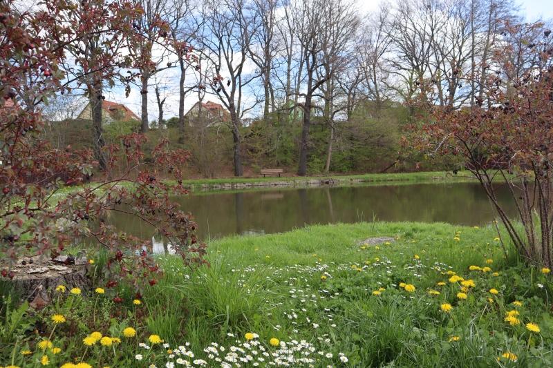 Dachgeschoßwohnung Zwickau Zwickau-Nord - 2 Zimmer, 35 m&sup2;, 155&euro; | Angebot:22894571