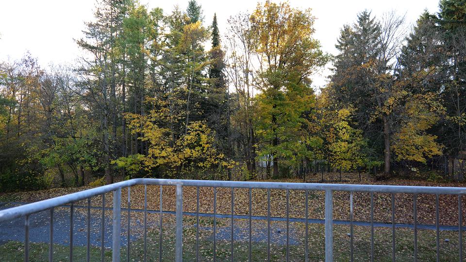 Etagenwohnung Auerbach/Vogtland Vogtland - 2 Zimmer, 59 m&sup2;, 350&euro; | Angebot:23448941