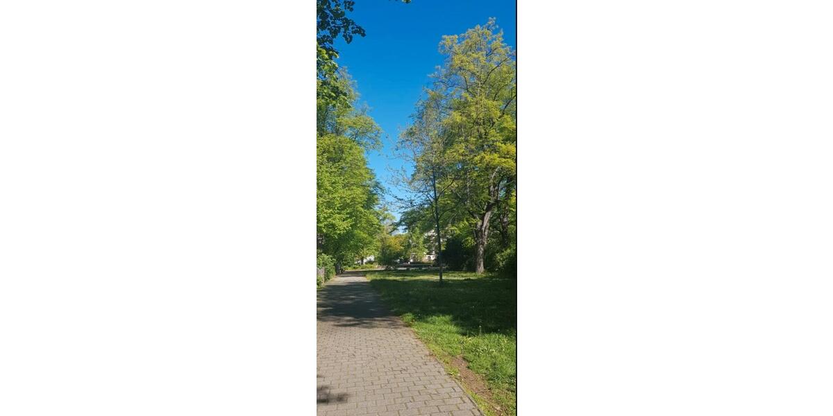Etagenwohnung Zwickau Zwickau-Nord - 3 Zimmer, 84 m&sup2;, 450&euro; | Angebot:26664462