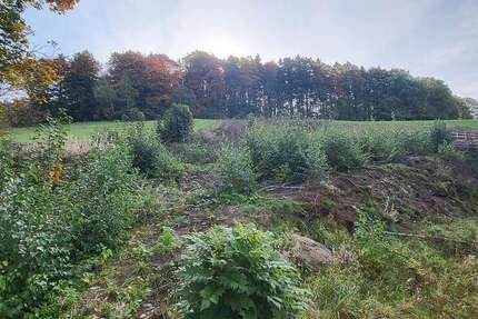 Grundstück Bockau - 62.500&euro; | Angebot:8889623