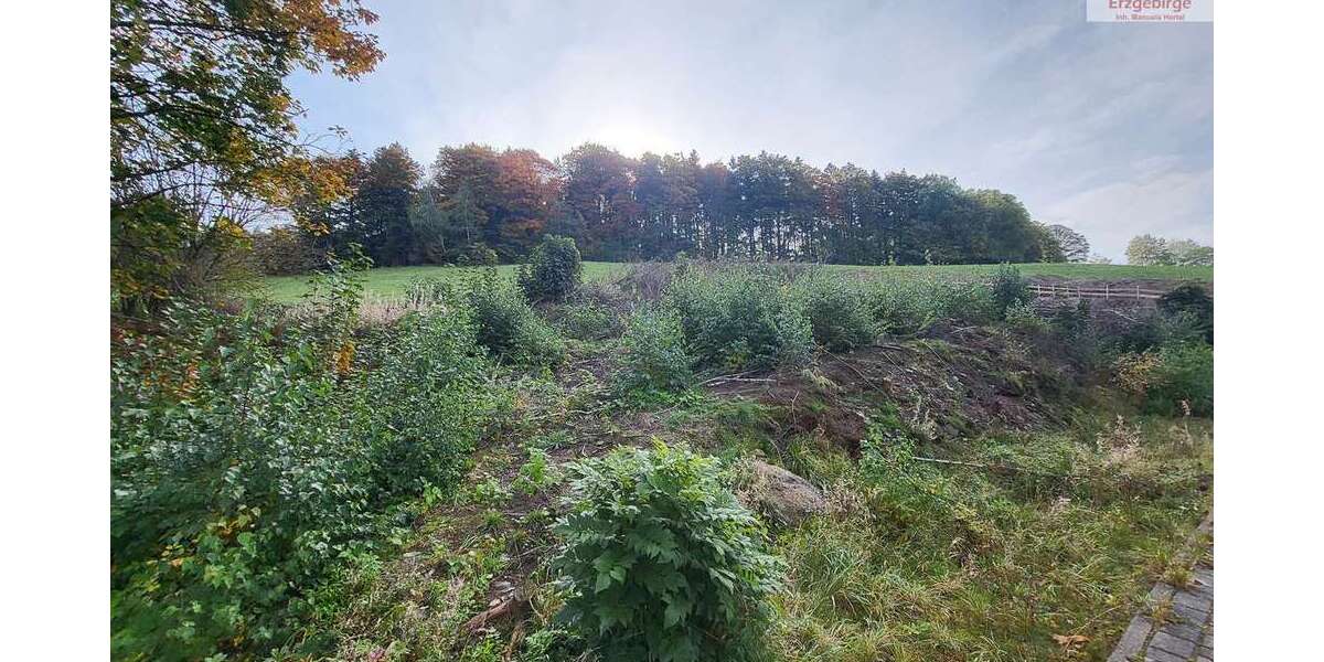 Grundstück Bockau - 62.500&euro; | Angebot:8889623