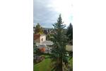 Etagenwohnung Meerane - 1 Zimmer, 83 m&sup2;, 415&euro; | Angebot:26664433
