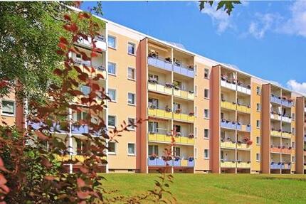 Wohnung Zwickau Neuplanitz - 2 Zimmer, 50 m&sup2;, 310&euro; | Angebot:25414671