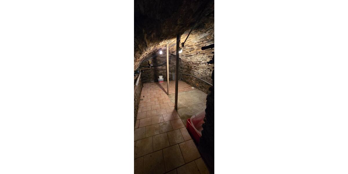 Mehrfamilienhaus, Wohnhaus Lauter-Bernsbach Bernsbach - 170.000&euro; | Angebot:25648682