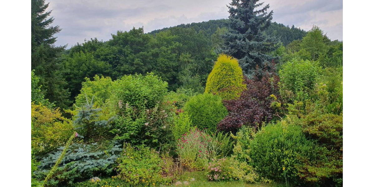 Doppelhaushälfte Aue / Bad Schlema Bad Schlema - 5 Zimmer, 103 m&sup2;, 149.000&euro; | Angebot:26657234