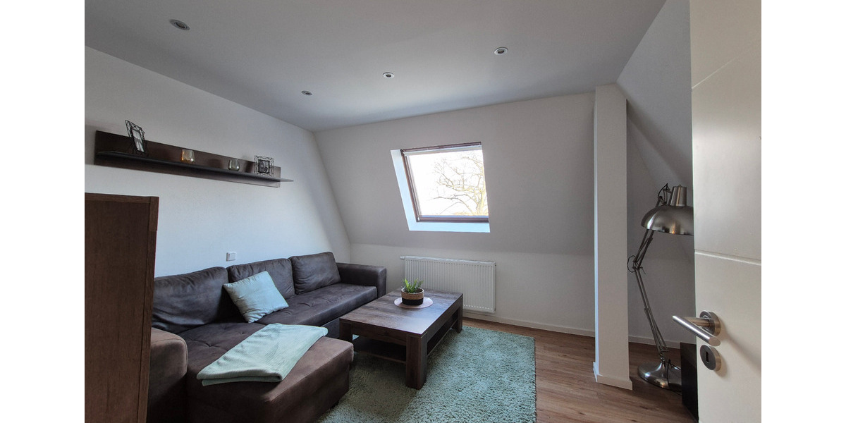 Dachgeschoßwohnung Zwickau Zwickau-Nord - 2 Zimmer, 61 m&sup2;, 700&euro; | Angebot:24533180