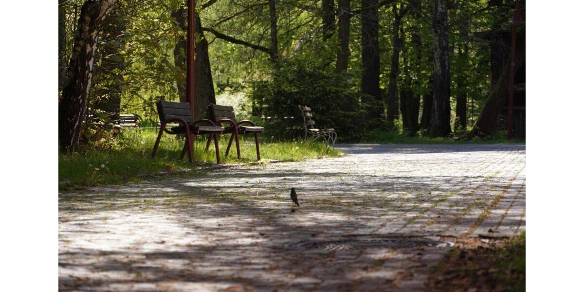 Dachgeschoßwohnung Hohenstein-Ernstthal Ernstthal - 1 Zimmer, 20 m&sup2;, 520&euro; | Angebot:18908378