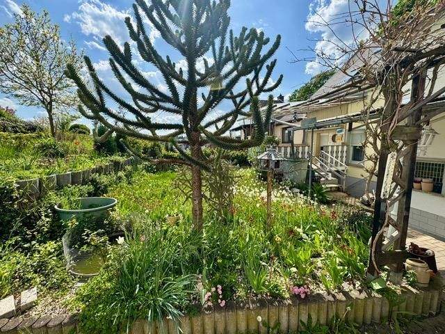 Einfamilienhaus Reichenbach - 6 Zimmer, 140 m&sup2;, 75.000&euro; | Angebot:25662881