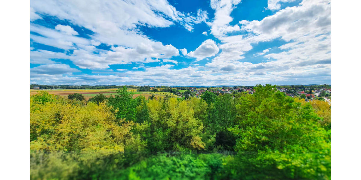 Etagenwohnung Zwickau Eckersbach - 3 Zimmer, 55 m&sup2;, 330&euro; | Angebot:25733945